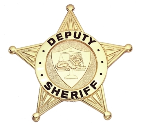 Hero's Pride Deputy Sheriff Badge, Enameled & Plated, Durable 5-Pc Pin/Catch