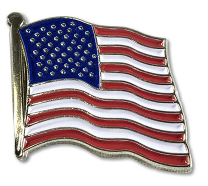 Thin Blue Line American Flag Pin